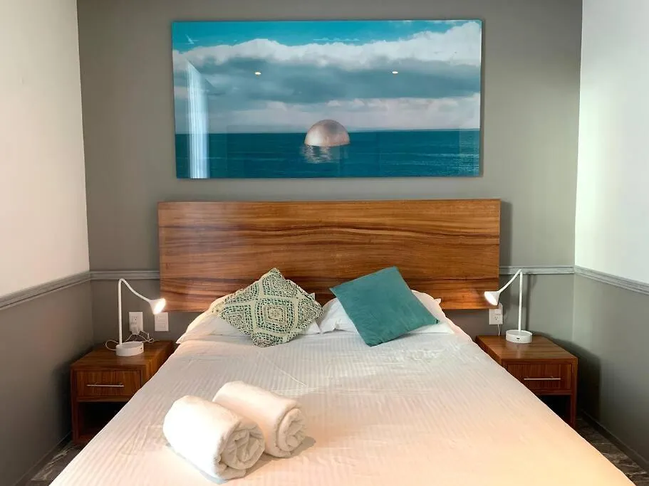 “Singular Joy” Amazing Location And Roof Top Playa del Carmen 0*,  Messico